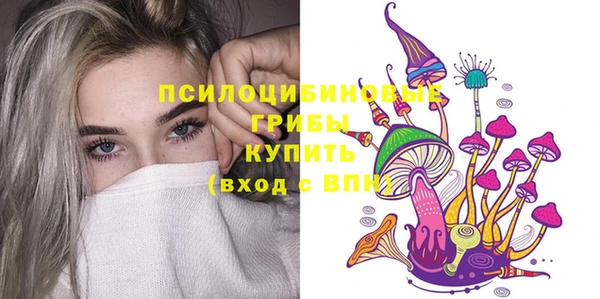 ECSTASY Абаза