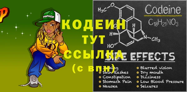 индика Иннополис