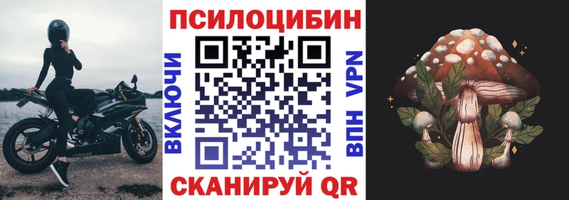 Псилоцибиновые грибы ЛСД Рязань